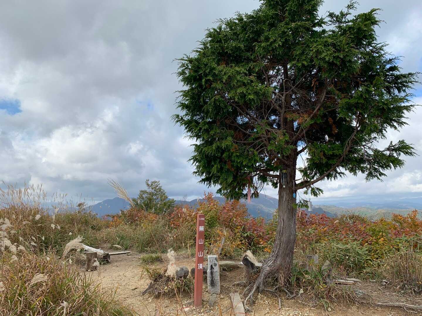 蕪山の写真