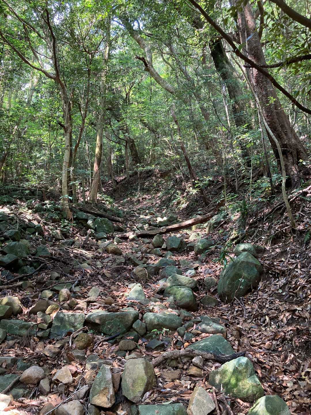 岩ゴロゴロの山道