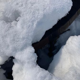 岩木山神社の奥社。少し見えてます