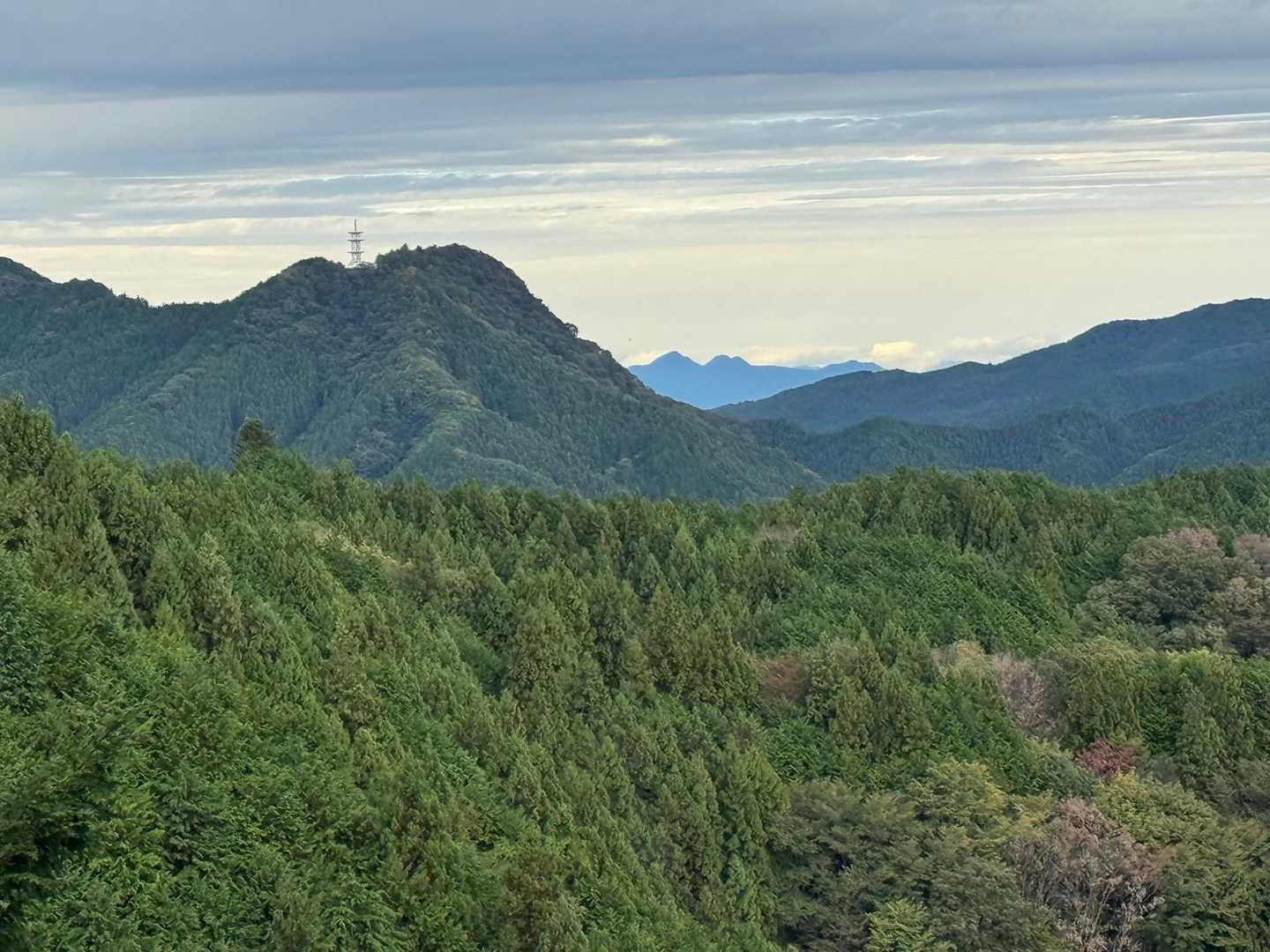 正丸駅発着｜五輪山・伊豆ヶ岳・大蔵山周回コースの写真