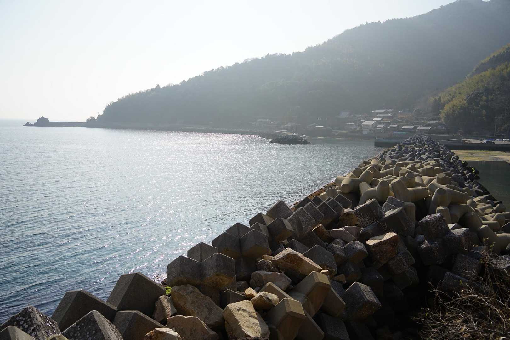 下山しました。
最後の急登で派手に滑ってSiriをしこたま打ちました。油断大敵。痛い😓