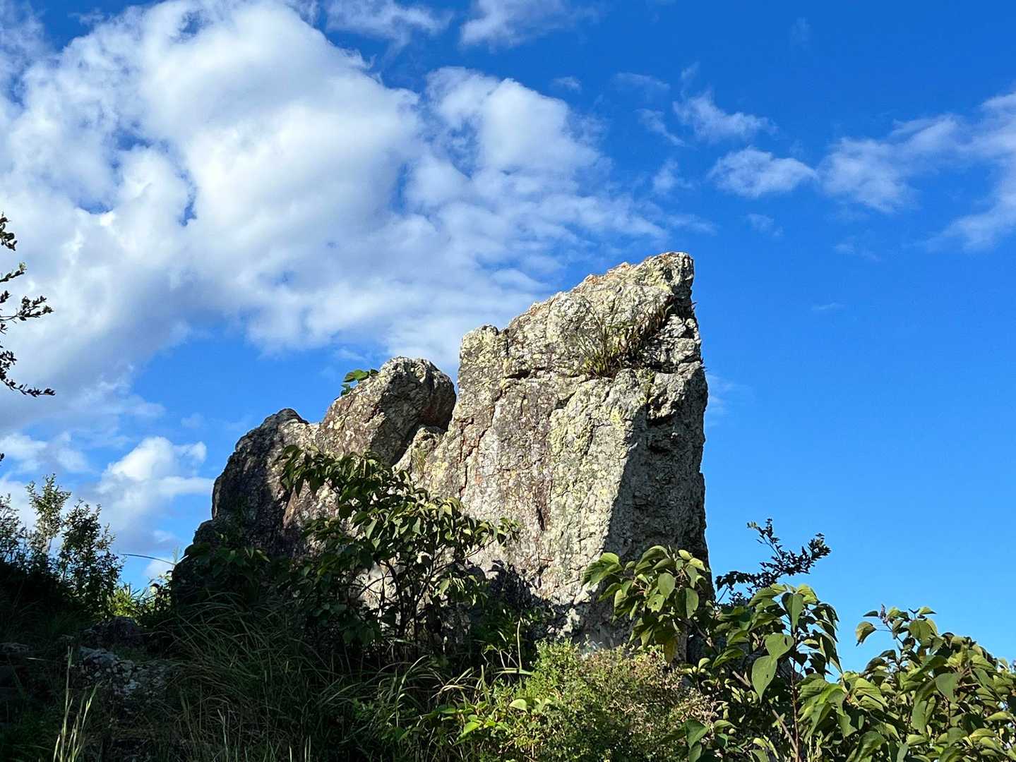 ライオン岩🦁と呼ばれているみたい