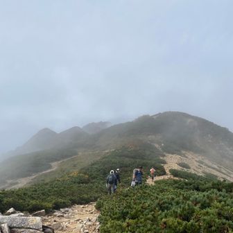 雲が多くなってきたぞー