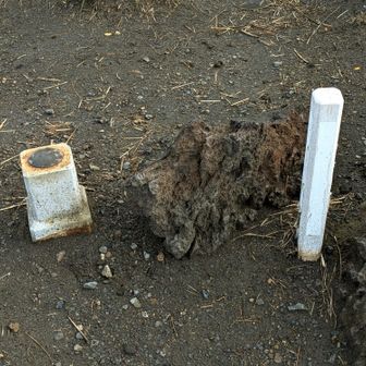 三角点あるよ〜ヽ(´▽｀)/