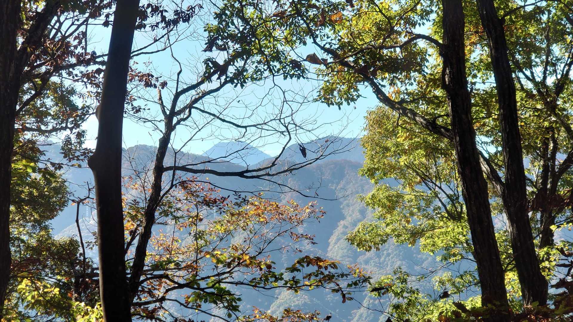 富士山も見えます