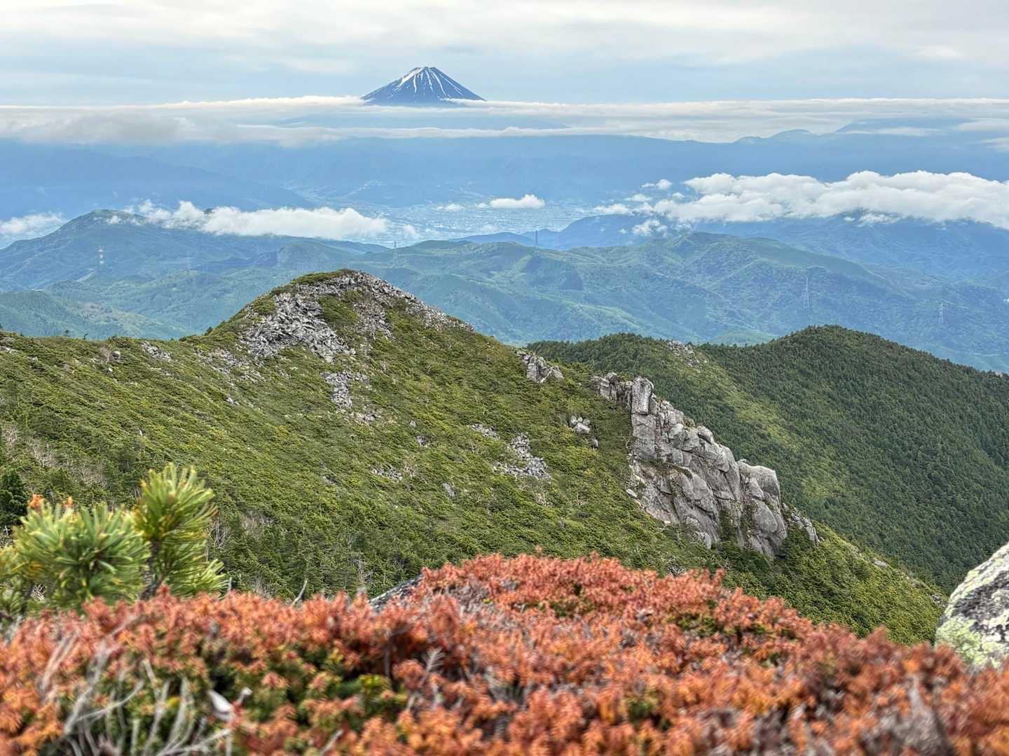 こんな景色に癒される