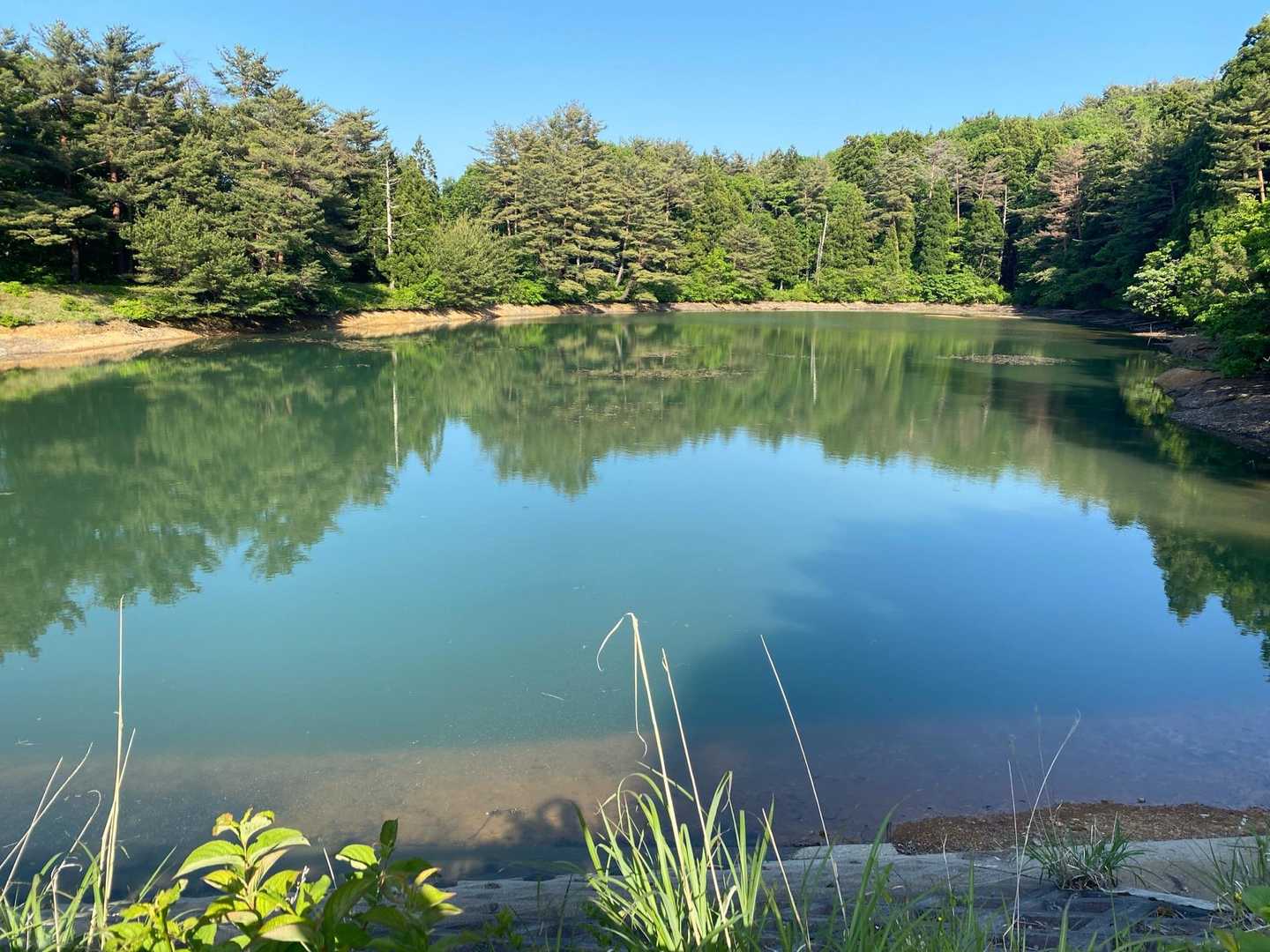 やっと戻ってきた💦