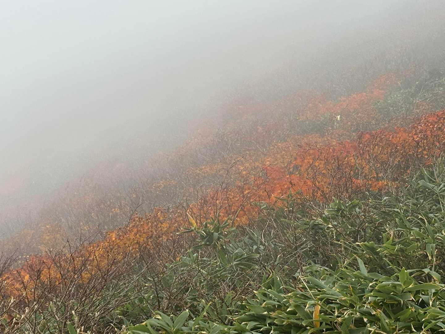 皆さんのレポで見た美しい稜線の朱