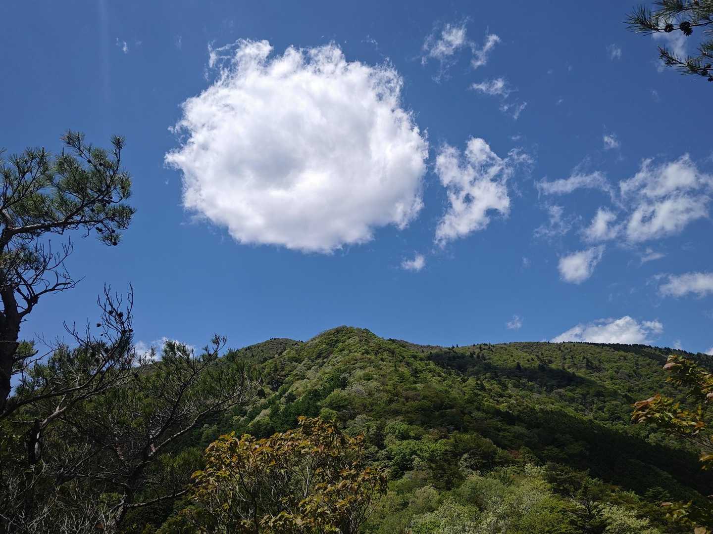 今日は、雲を楽しみながら😉
