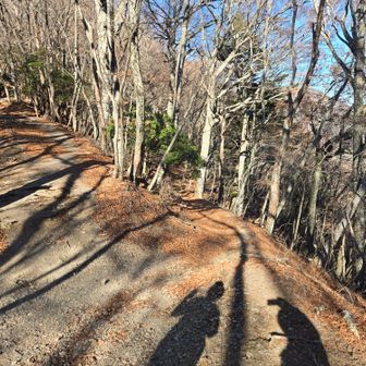 戻ってきて。右へ行きます