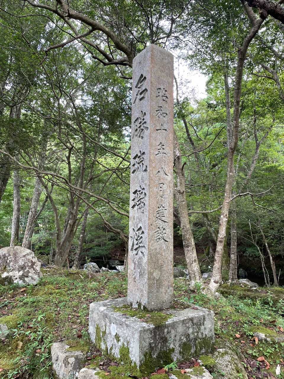 また来るねー