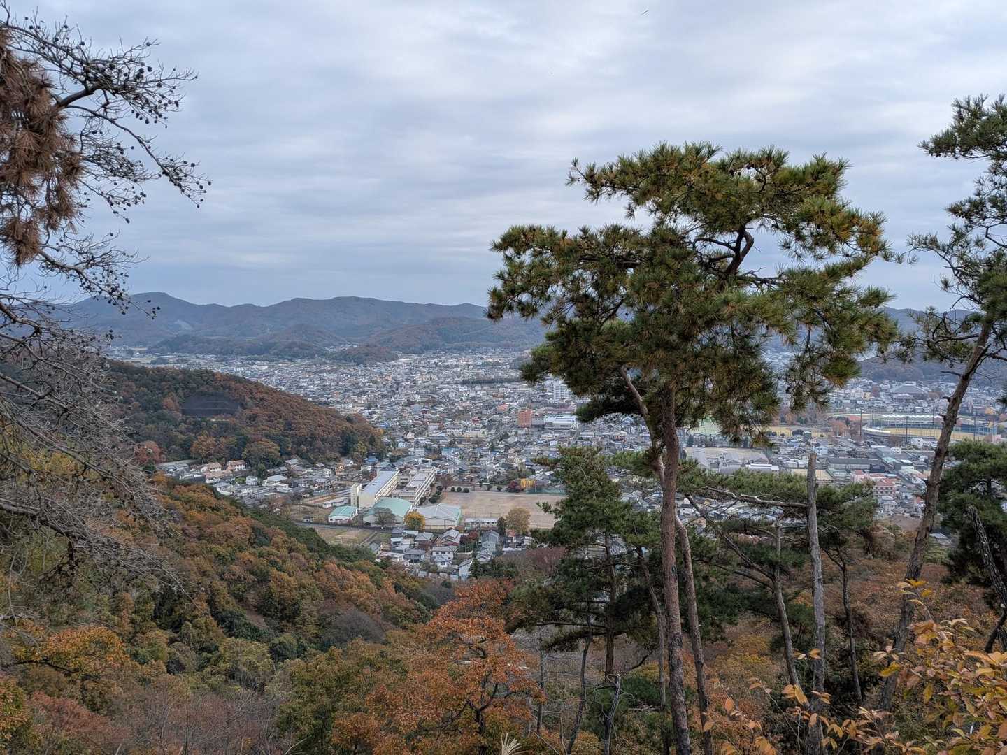 おー、だいぶ街が近くなった。