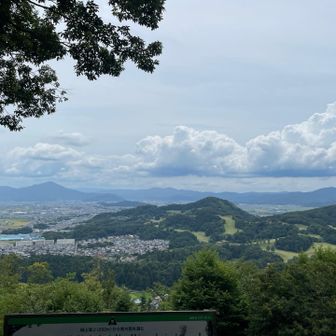 いつものお気に入り✨