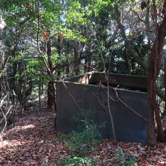 水槽、かっては山頂までミカン山だったのだろう。