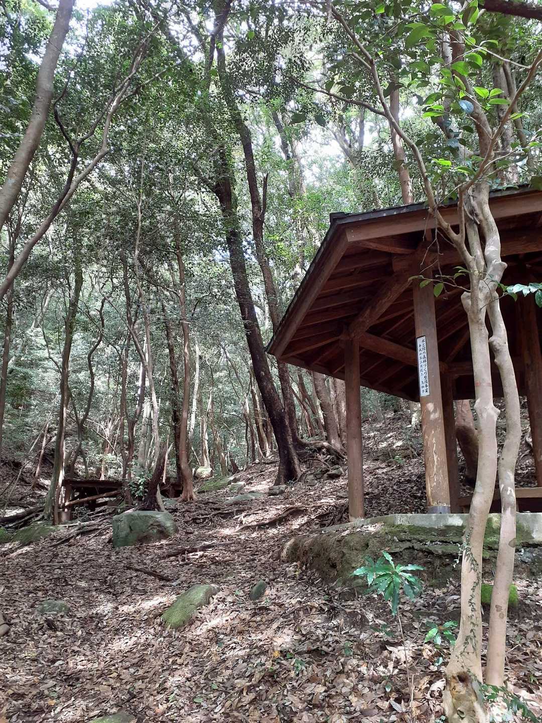 林道から入ってすぐに東屋とテントスペースがある山🗻
何処だったかな～と思っていたら
ここでした😅