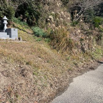 墓地の右端に取付きがあります。