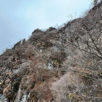 尾根まであと少し