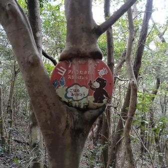 東側から巻いてレトロ🐻さん😻