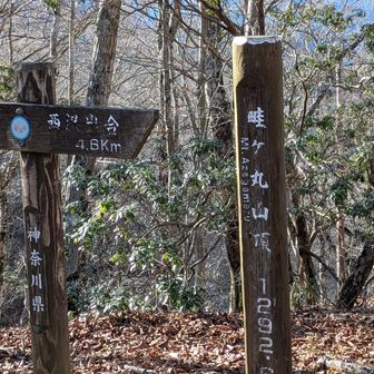 畦ヶ丸山頂に到着！3座チャレンジ成功！