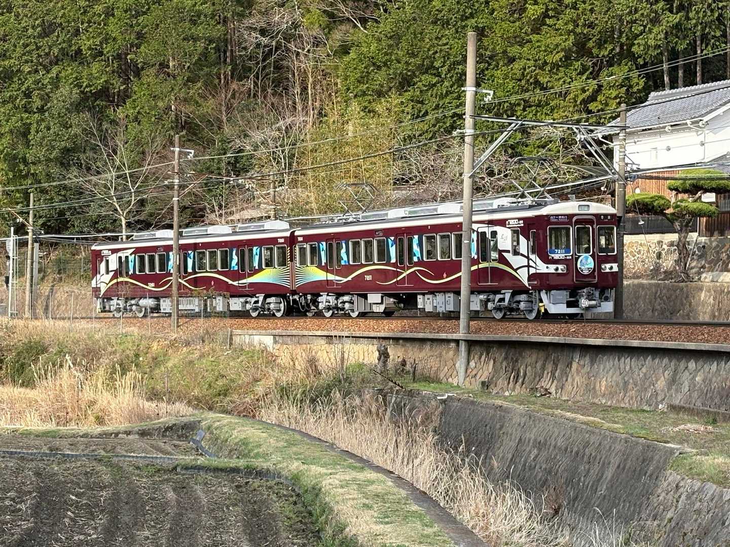 藍彩