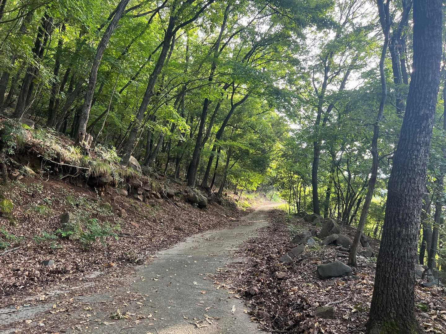 大蔵経寺山（JR石和温泉駅）の写真
