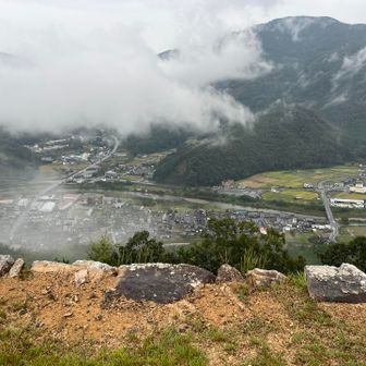 石垣の覗いたら高っか