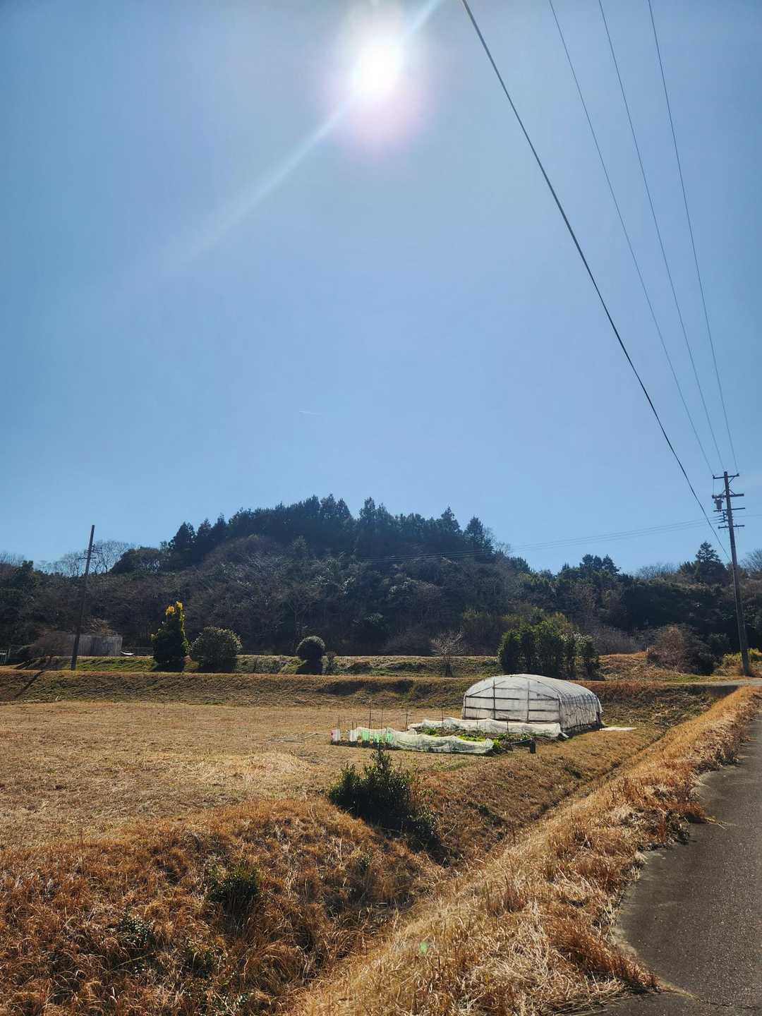 この山を登ります！