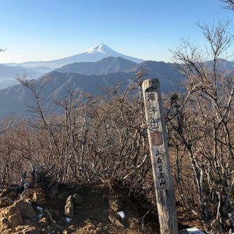 滝子山に登頂できました！🗻