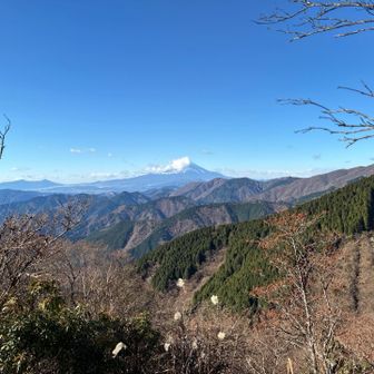 三ノ塔までは冬場は大体いつ来ても富士山がきれい。