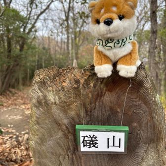 礒山 標高60mに着きました