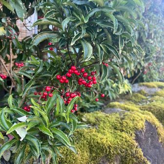 この手前でみかん購入。
ジューシーで甘酸っぱいみかんで水分補給