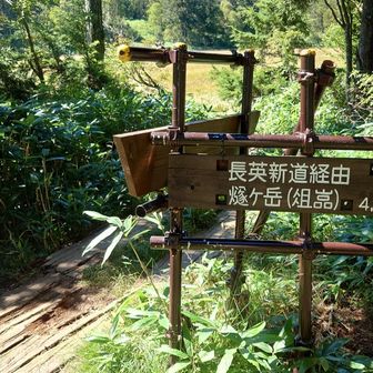 尾瀬沼周遊道到着！
4.5キロ　長〜い！