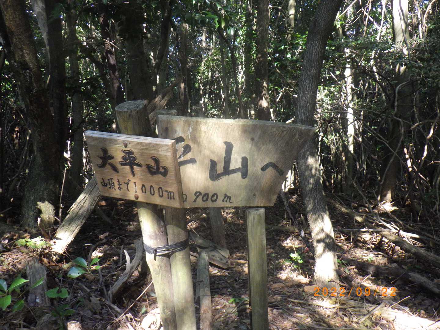 「えっ、残りまだ１キロもあるの！」
ここからの１キロが長かった。