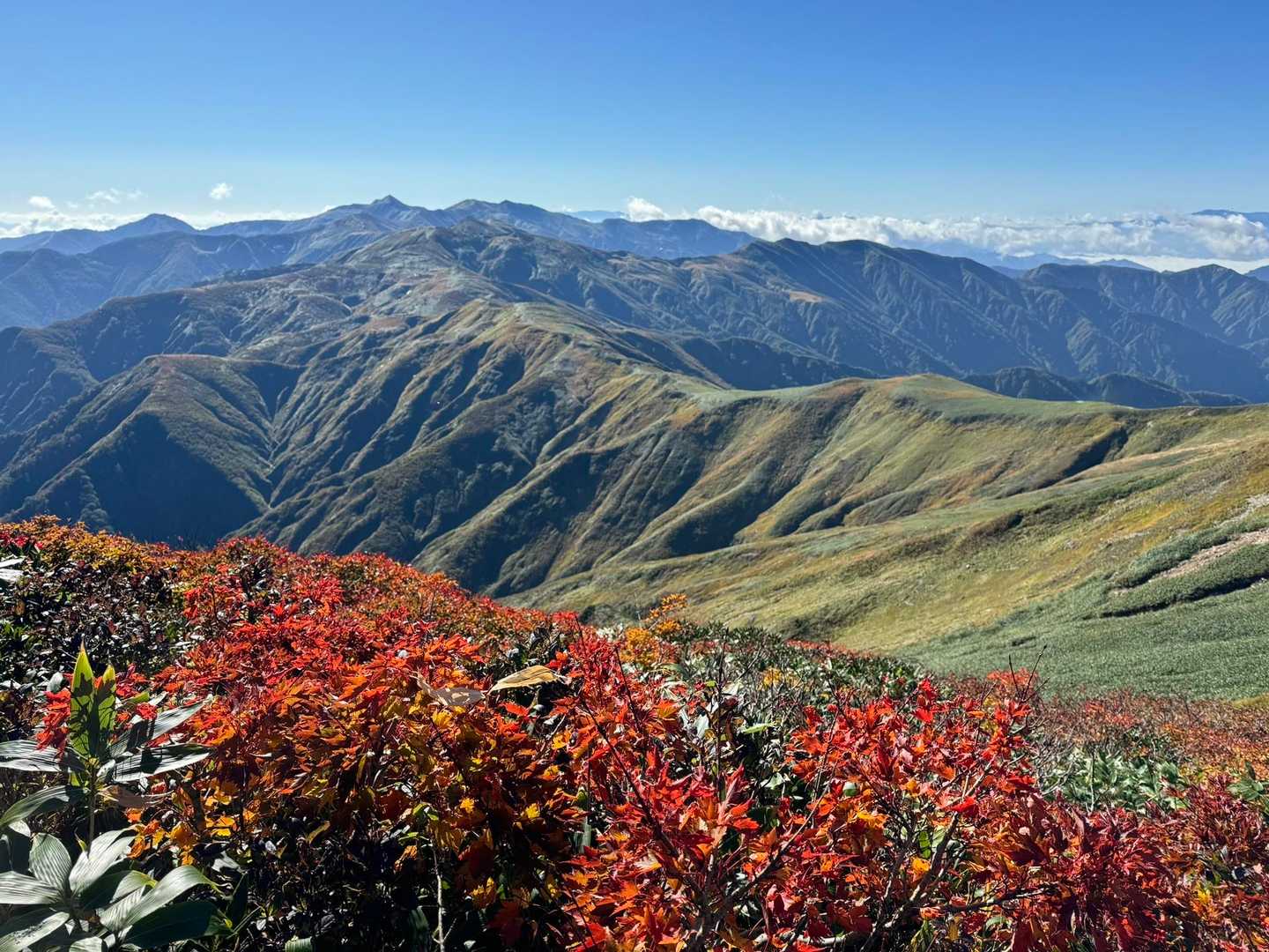 紅葉と朝日連峰主稜線