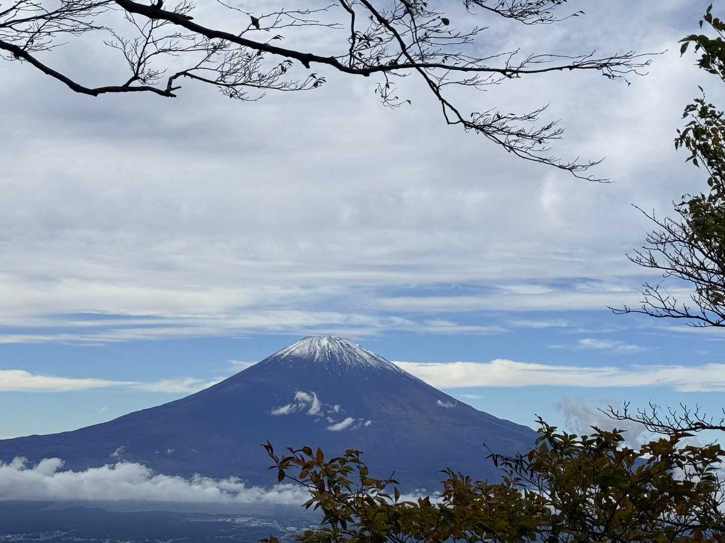 ビューポイント