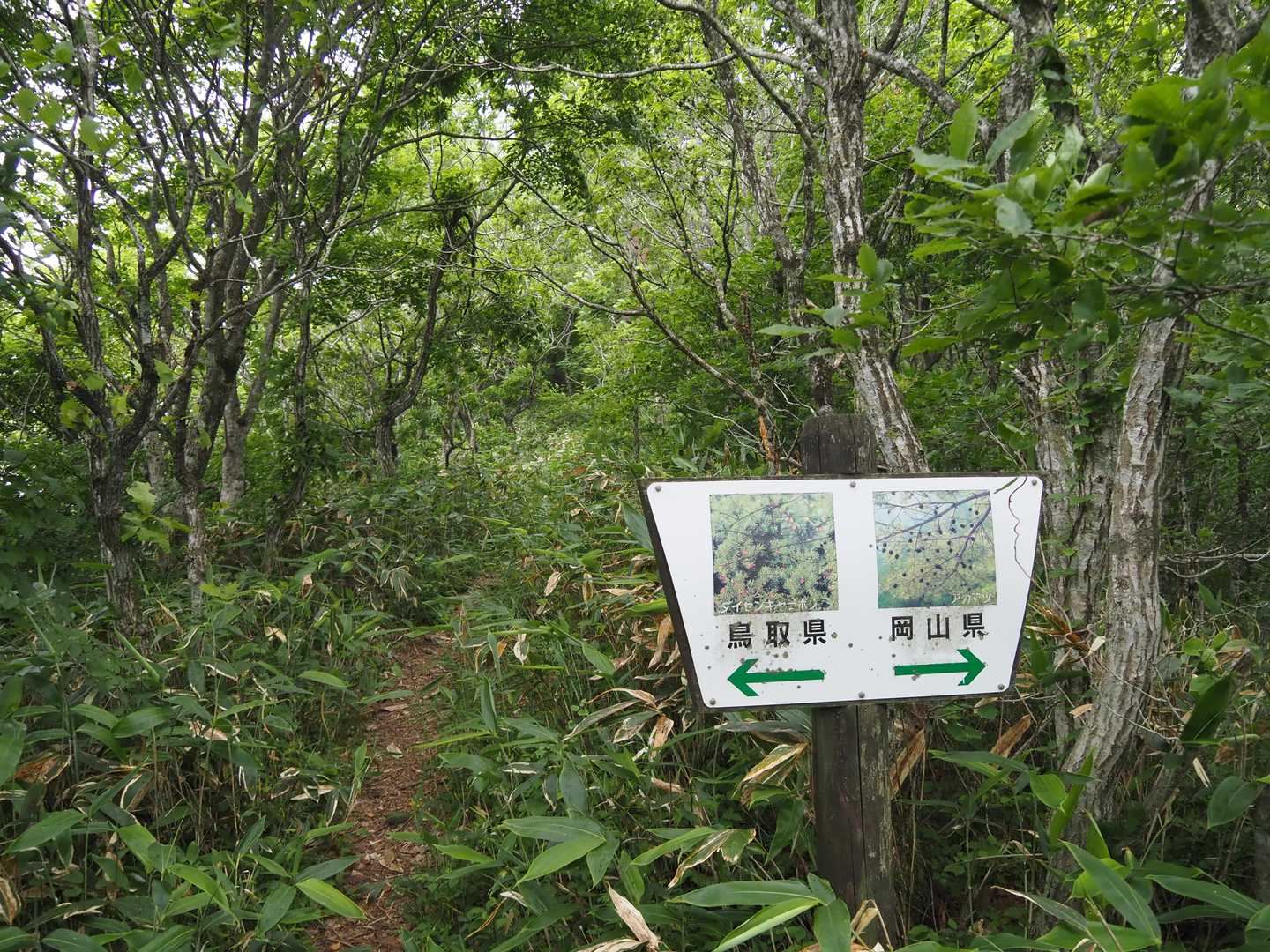 登山道が県境になってます。👈👉
