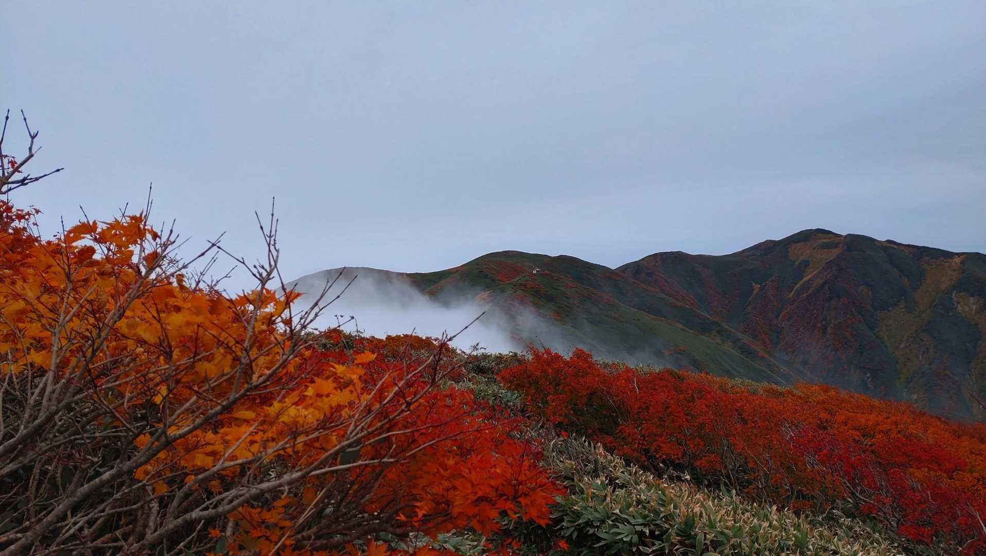 紅葉と頼母木小屋
