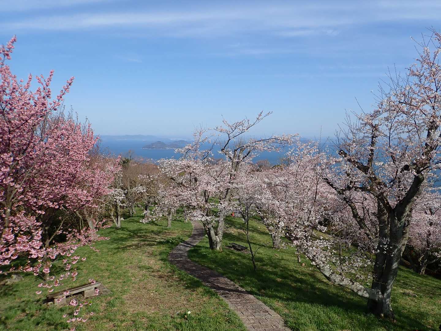 紫雲出山