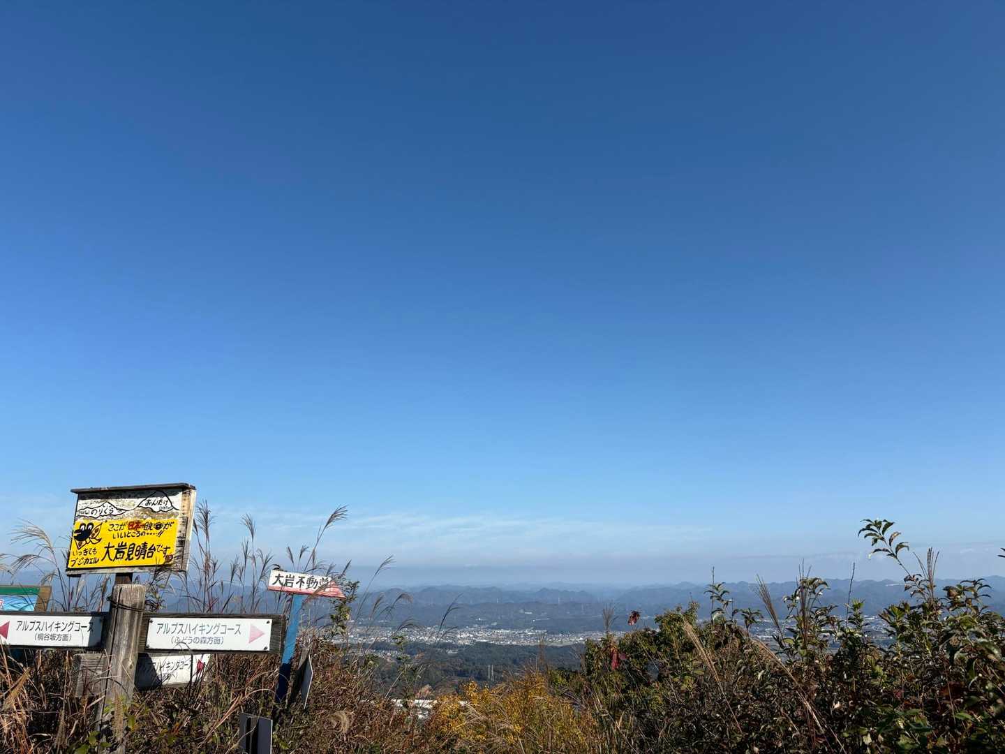 大岩山 往復コースの写真