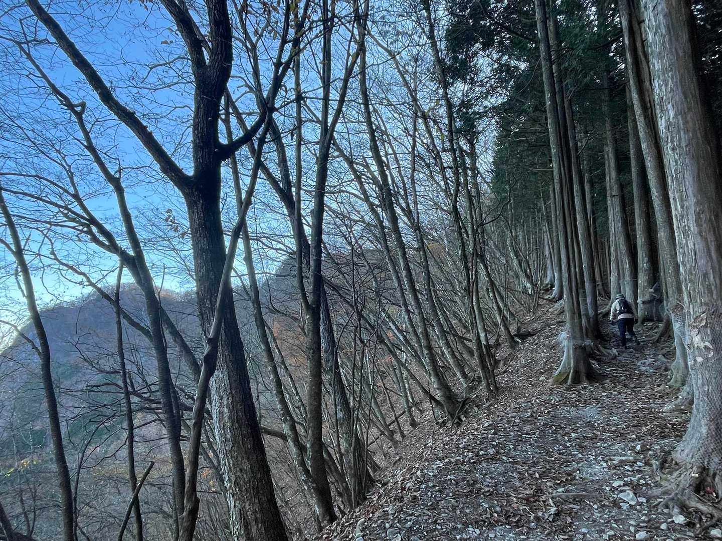 左前方に見えるのが妙法ヶ岳かな？