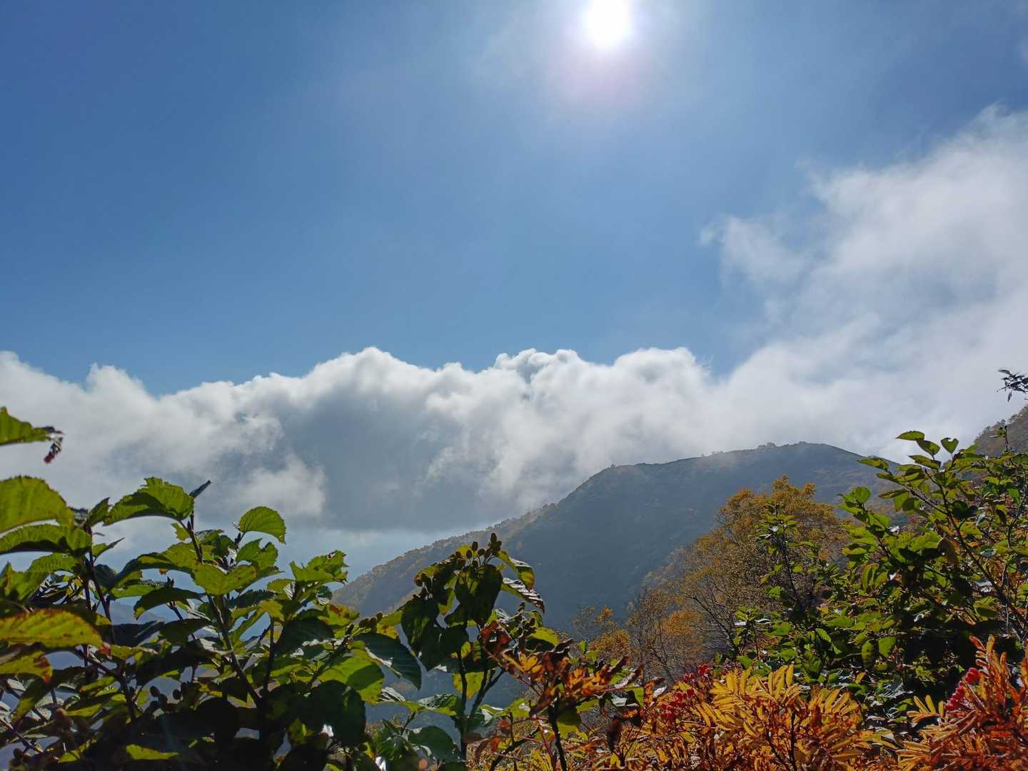 で、反対斜面のトラバースに向かうと、晴れた🙌