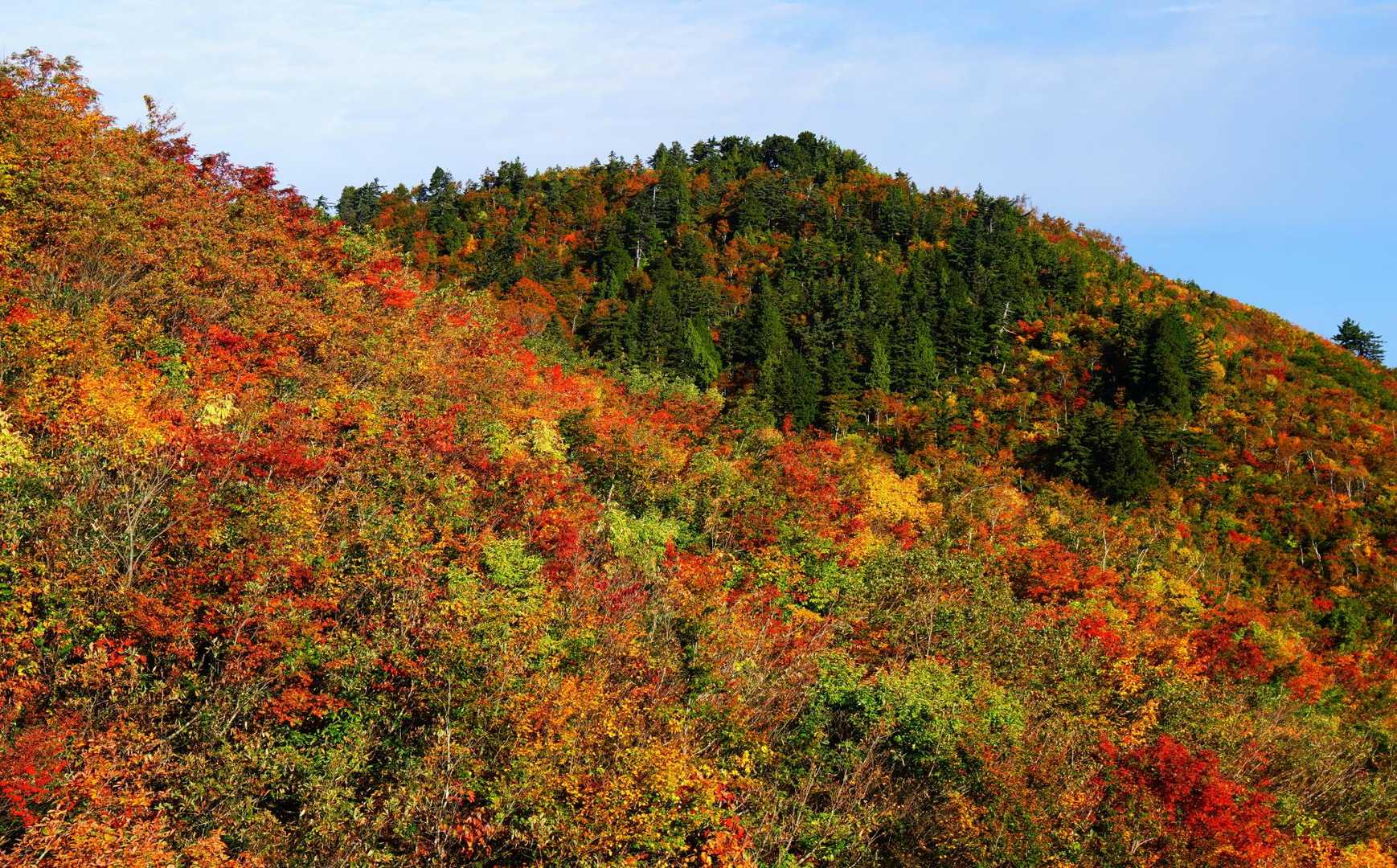 三方岩岳-馬狩荘司山-野谷荘司山 往復コースの写真