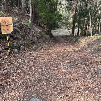 縦走断念下山します🫩