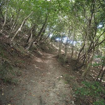 もう稜線が見えてきた。