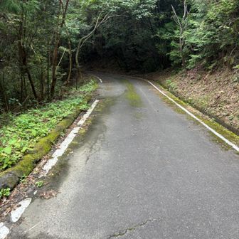 またまたスタート地点まで帰ってきて
道路を歩いて