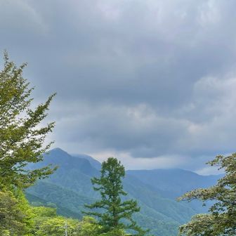 雲取山は雲で見えない