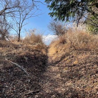 上り終えました