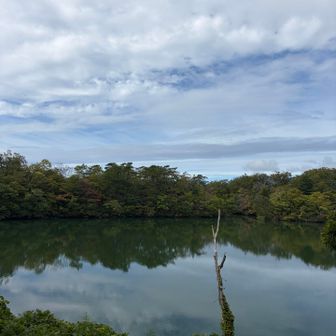 お？晴れてきた