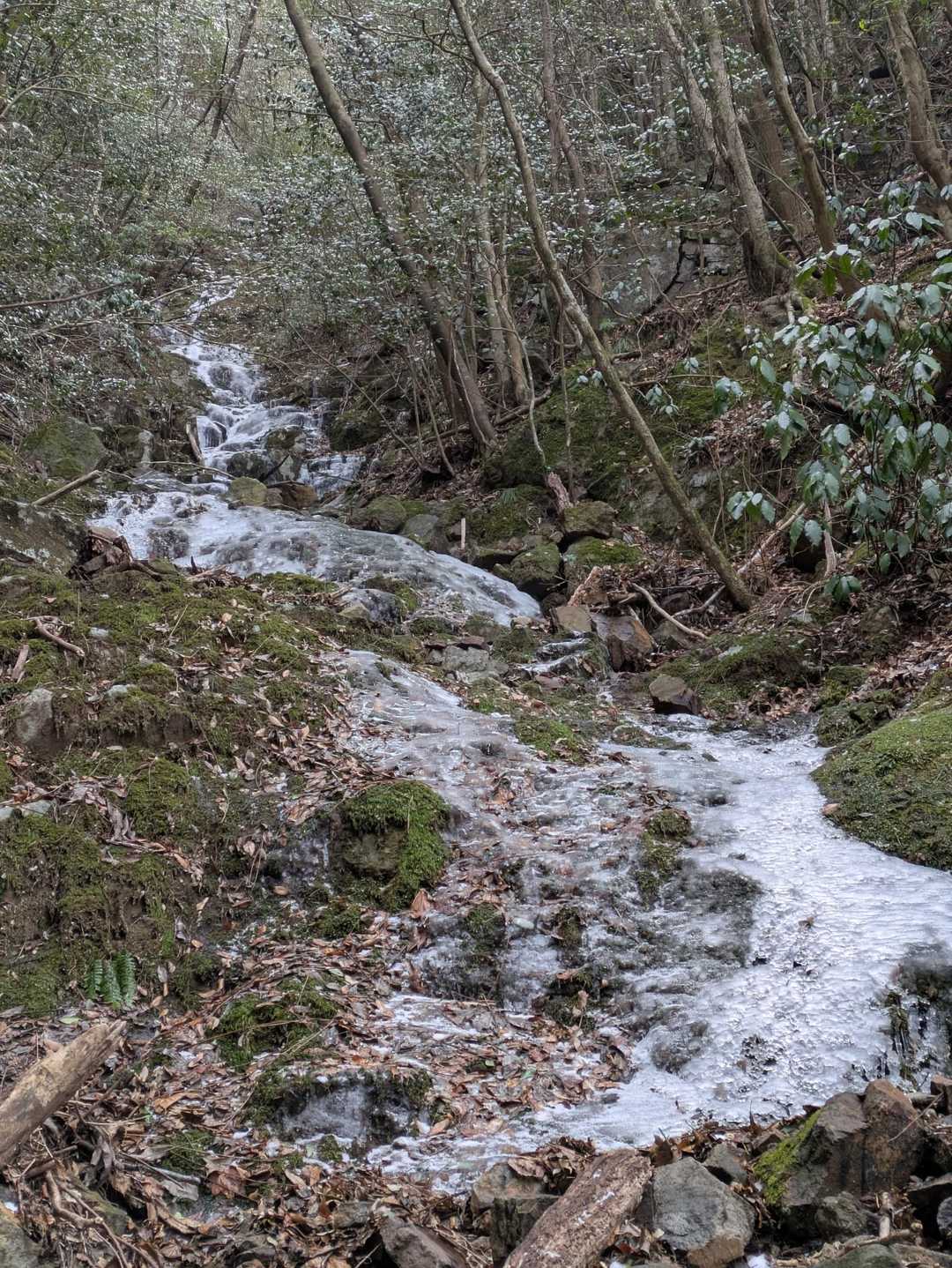 小さな🚰や細い🚰は全面氷瀑❄
近くは、冷蔵庫にいるような冷気🆒です圧巻です😯