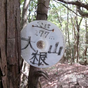 大根山２７７ｍ